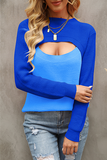 Elegant Patchwork Hollowed Out Contrast O Neck Tops Sweater