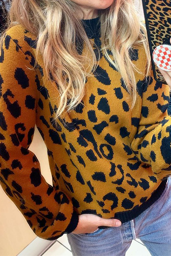 Fashion Casual Leopard O Neck Sweaters