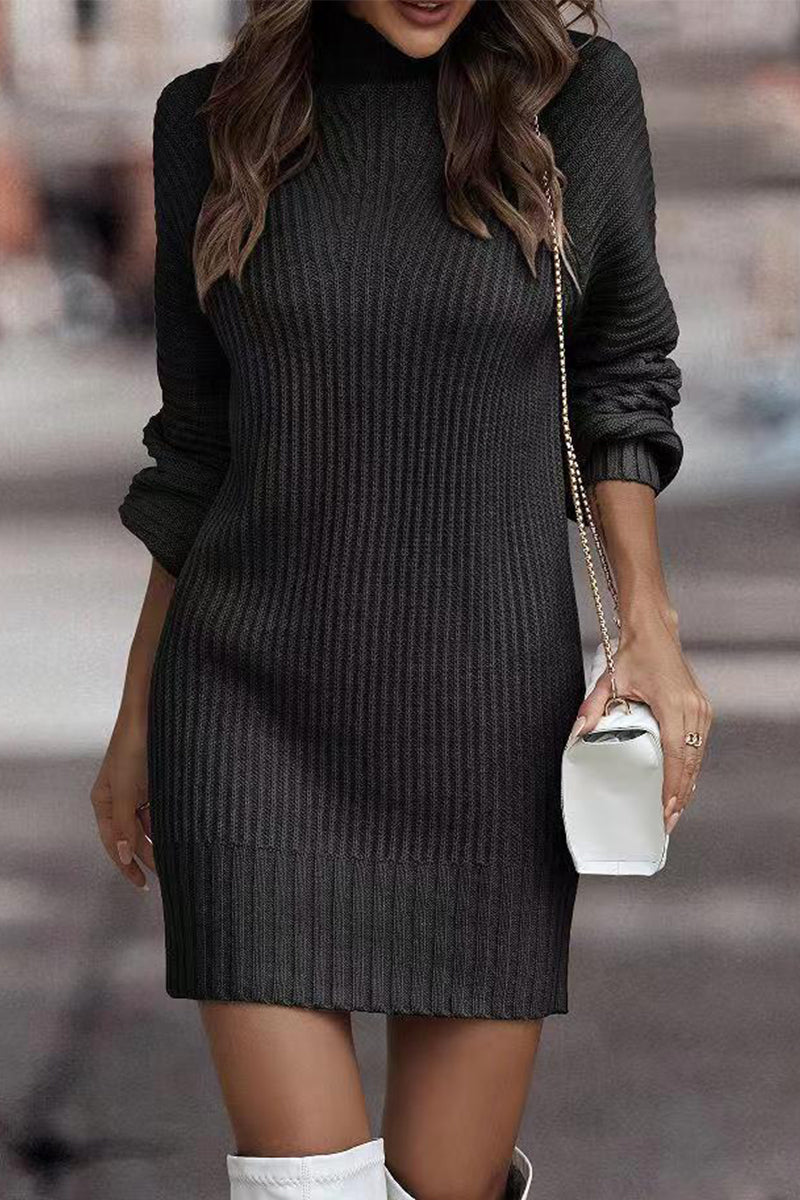 Casual Solid Patchwork Turtleneck One Step Skirt Dresses