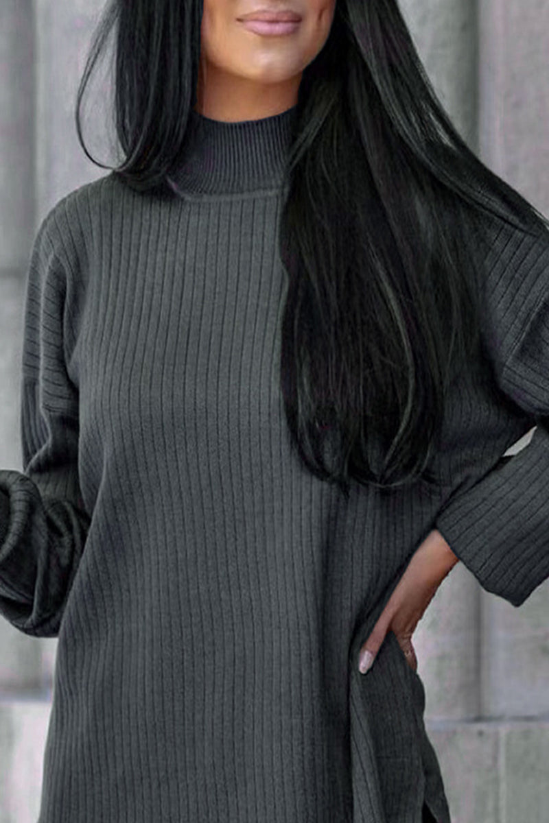 Casual Simplicity Solid Turtleneck Long Sleeve Two Pieces(5 Colors)