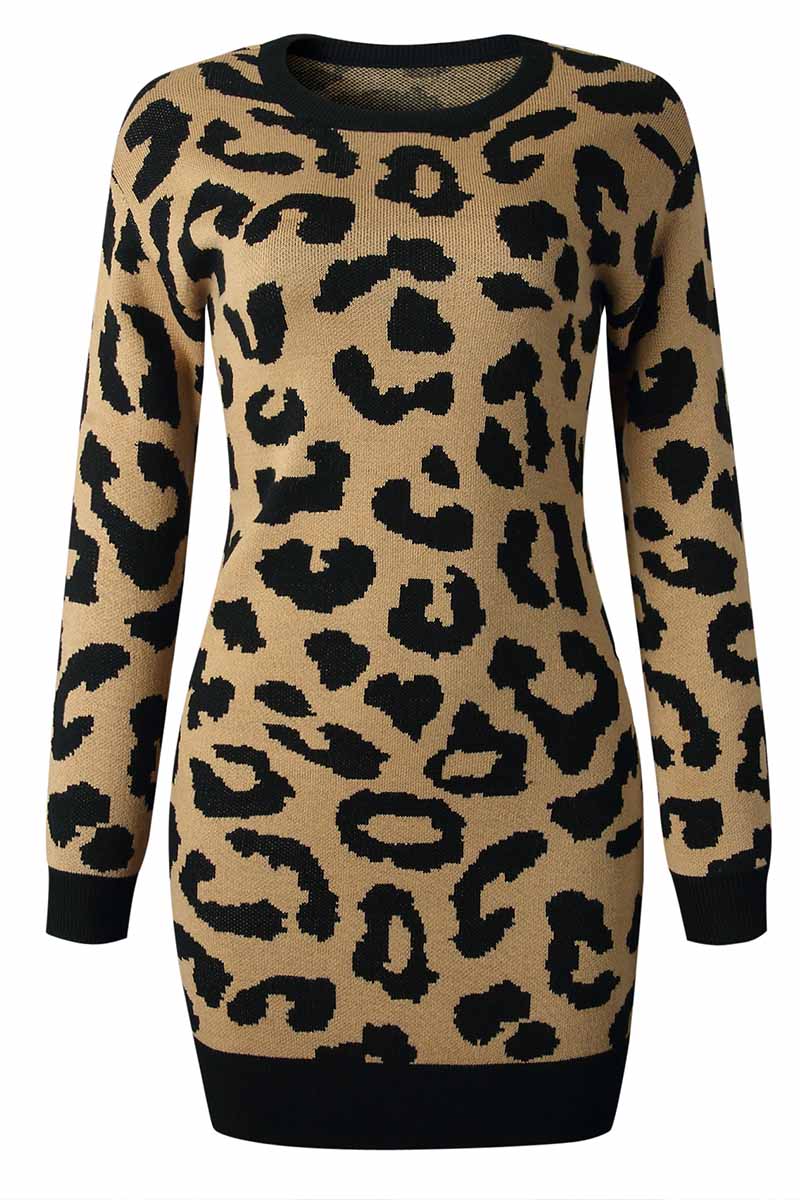 Chicindress Leopard Print Oneck Mini Dress – chicindress